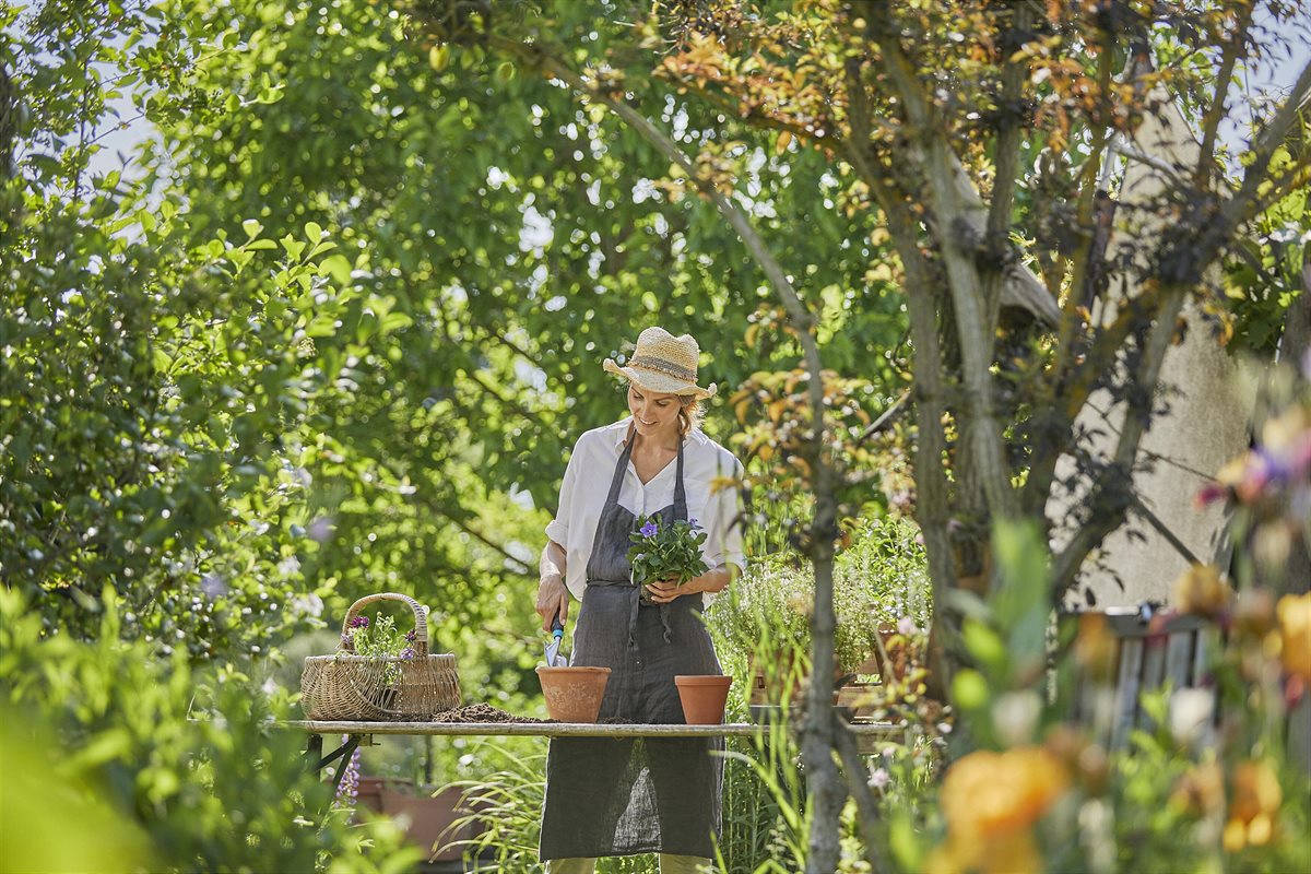 Naturgarten richtig anlegen